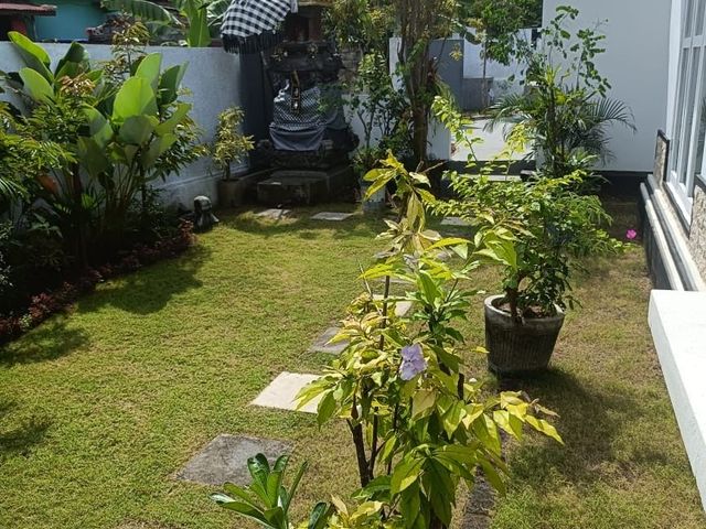 place photo 38