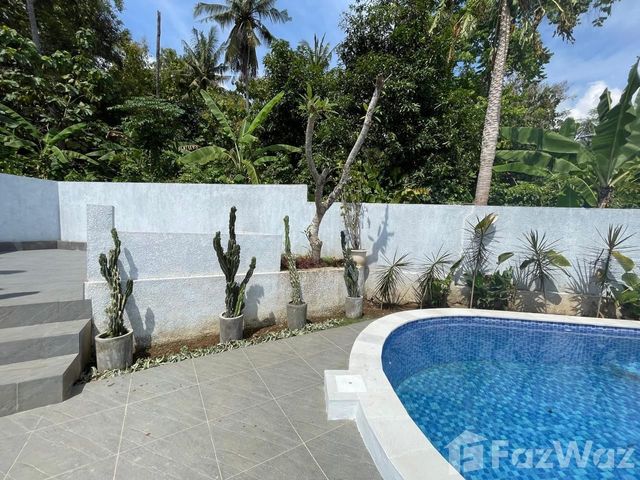 place photo 62
