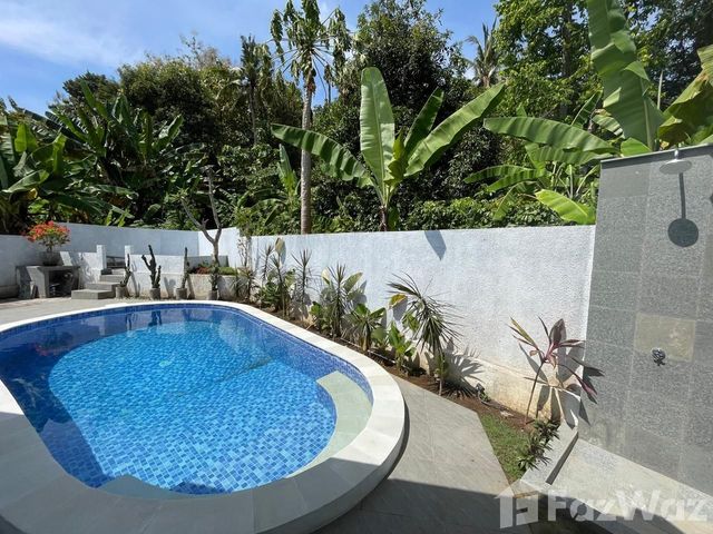 place photo 67