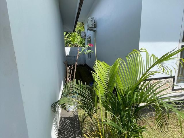 place photo 58