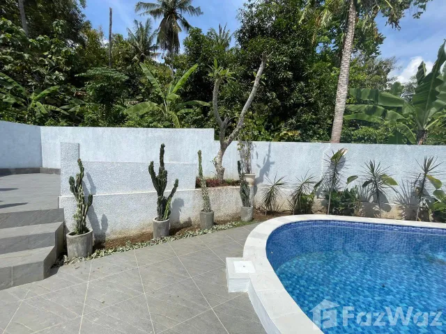 place photo 62
