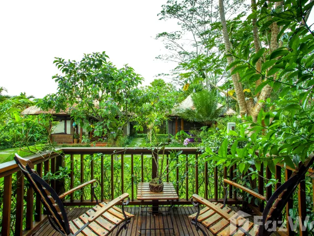 place photo 61