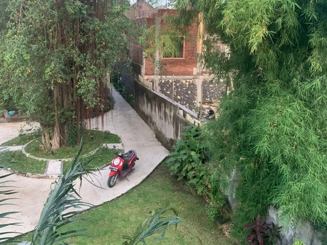 place photo 8