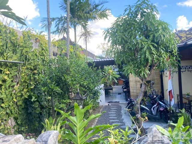 place photo 19