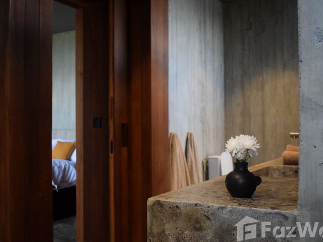 place photo 66