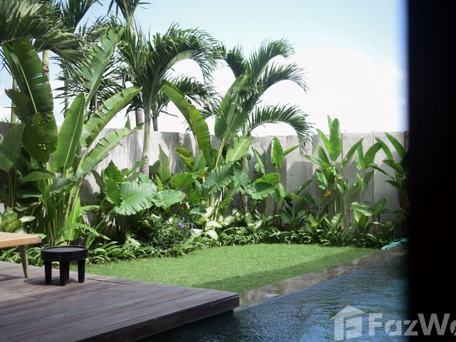place photo 59