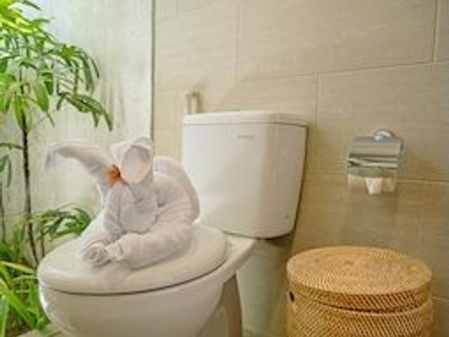 place photo 47
