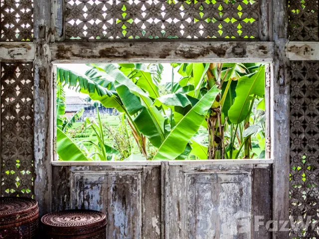 place photo 42