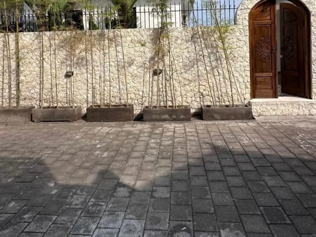place photo 15