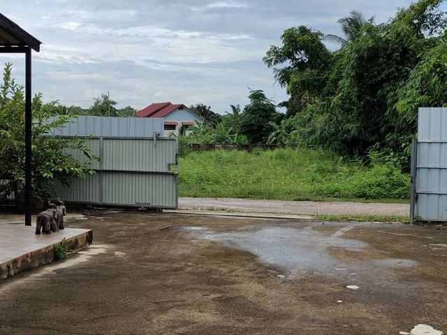 place photo 19