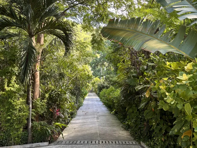place photo 40