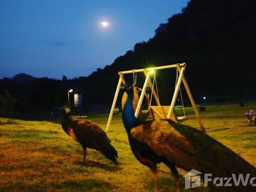 place photo 61