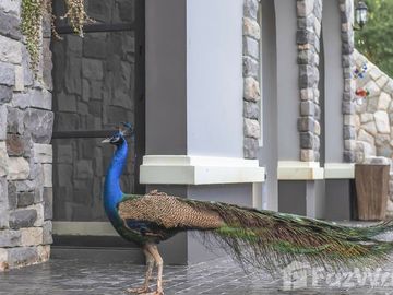 place photo 46
