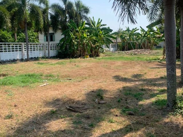 place photo 17