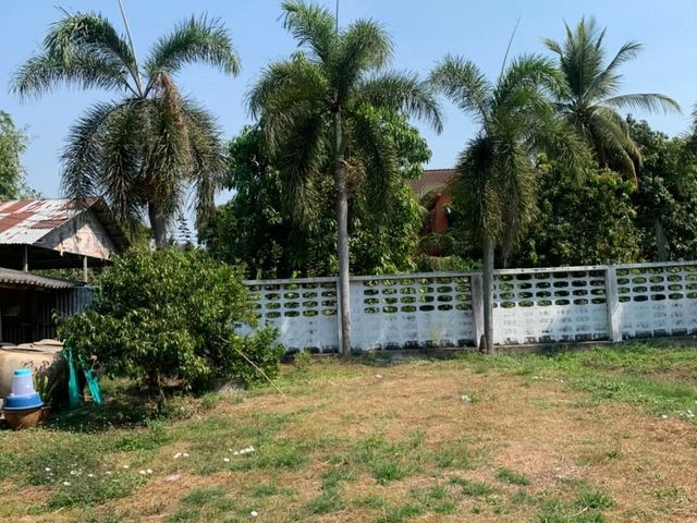 place photo 16
