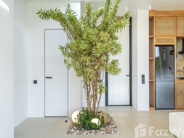 place photo 36