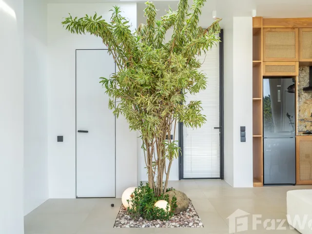 place photo 36