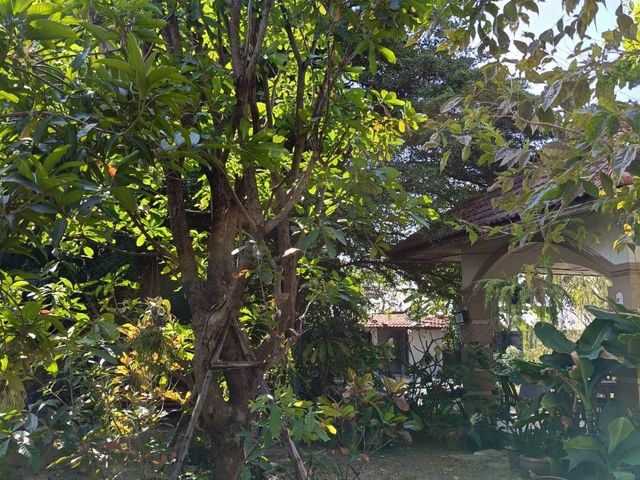 place photo 56