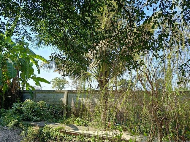 place photo 53