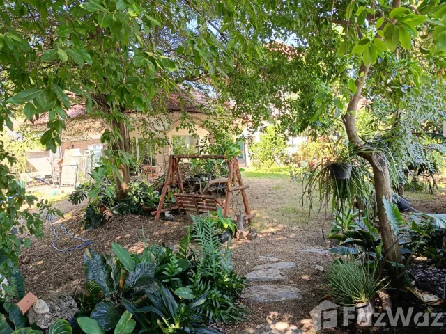 place photo 47