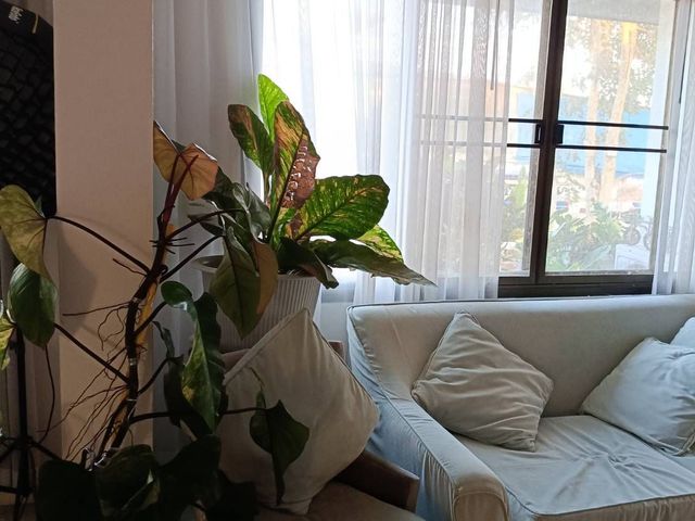 place photo 34