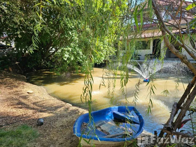 place photo 65