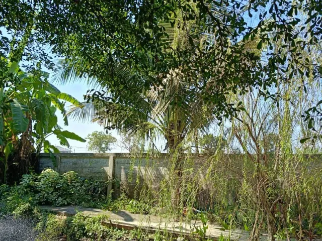 place photo 48