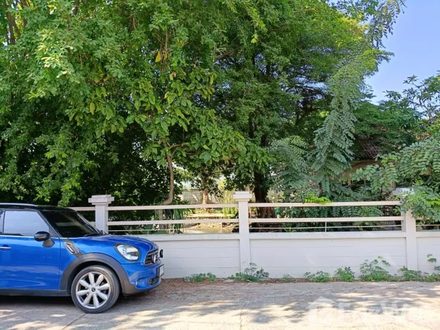 place photo 44