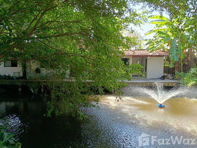 place photo 49