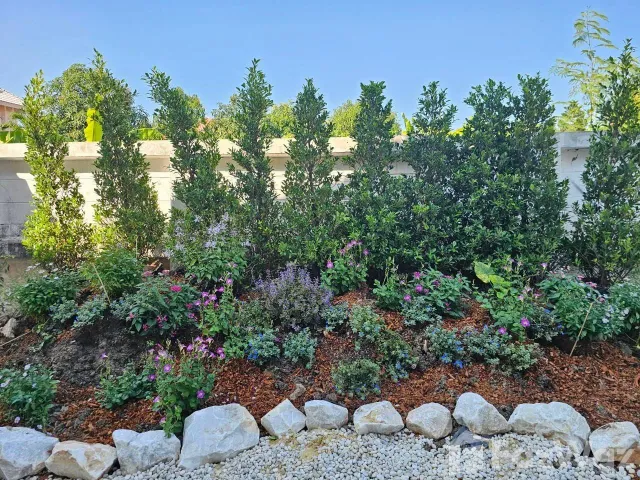 place photo 64
