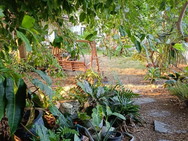 place photo 21