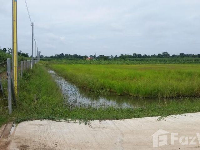 place photo 21