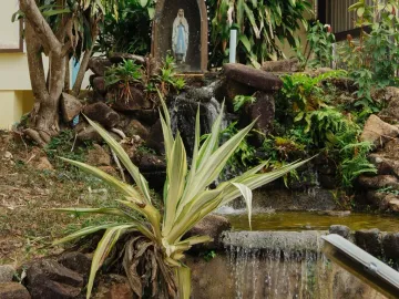 place photo 35