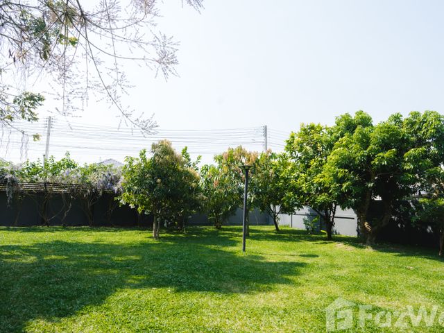 place photo 44