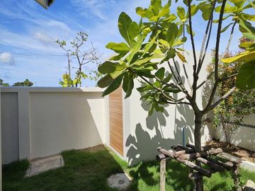 place photo 37