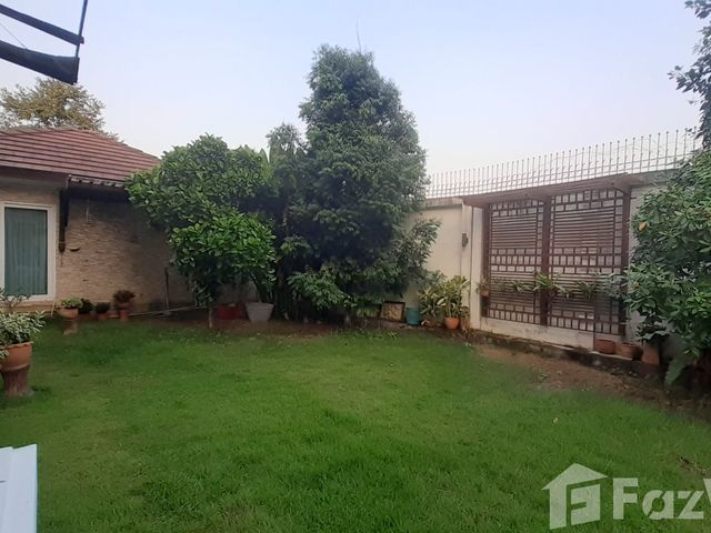 place photo 38