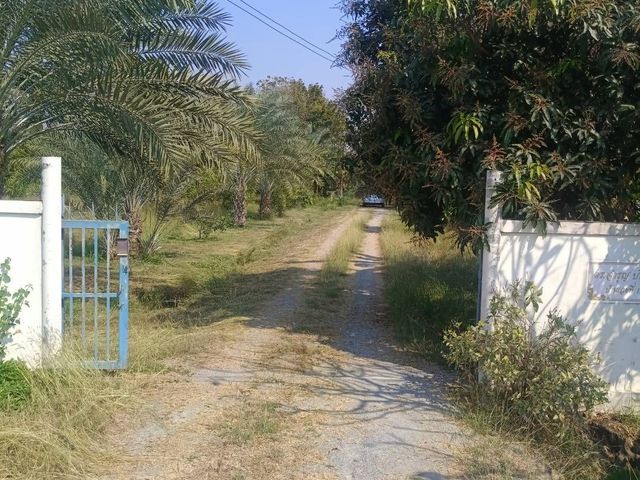 place photo 4