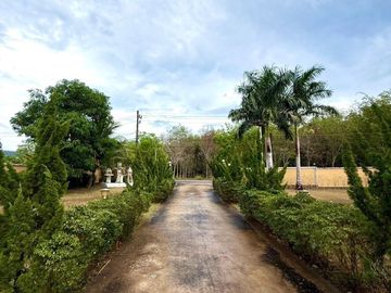 place photo 21