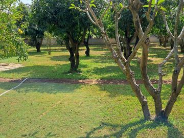 place photo 35