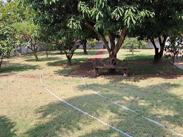 place photo 34
