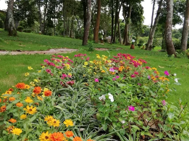 place photo 37