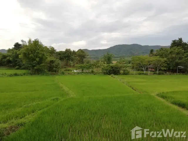place photo 31