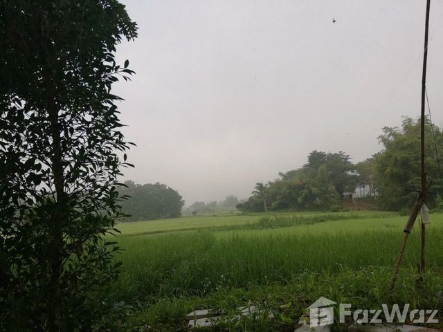 place photo 34