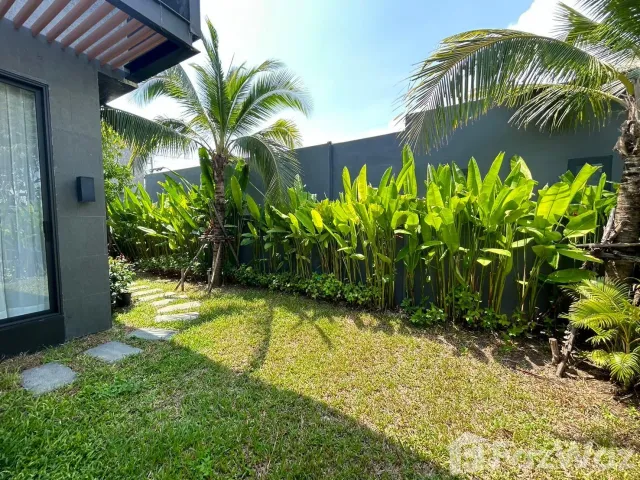 place photo 36