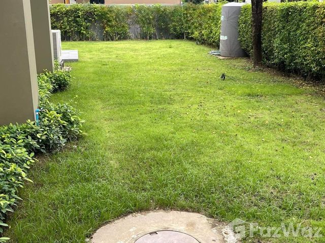 place photo 55