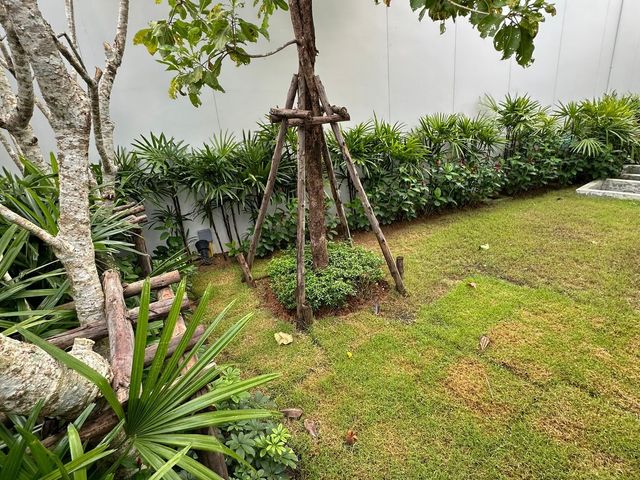 place photo 37