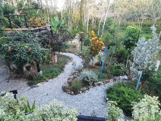 place photo 20