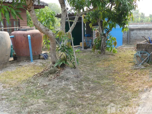 place photo 28
