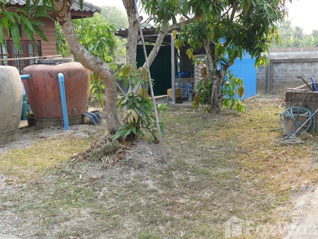 place photo 28