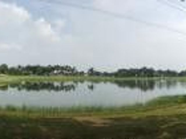 place photo 23